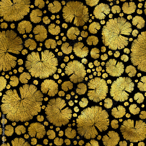 Obraz na płótnie Fancy Abstract Gold Floral Garden Black w salonie
