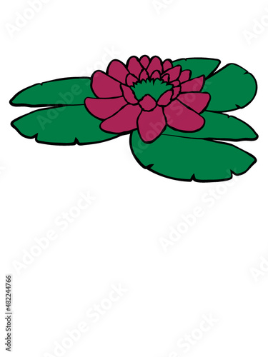 Wasser Blüte Design 