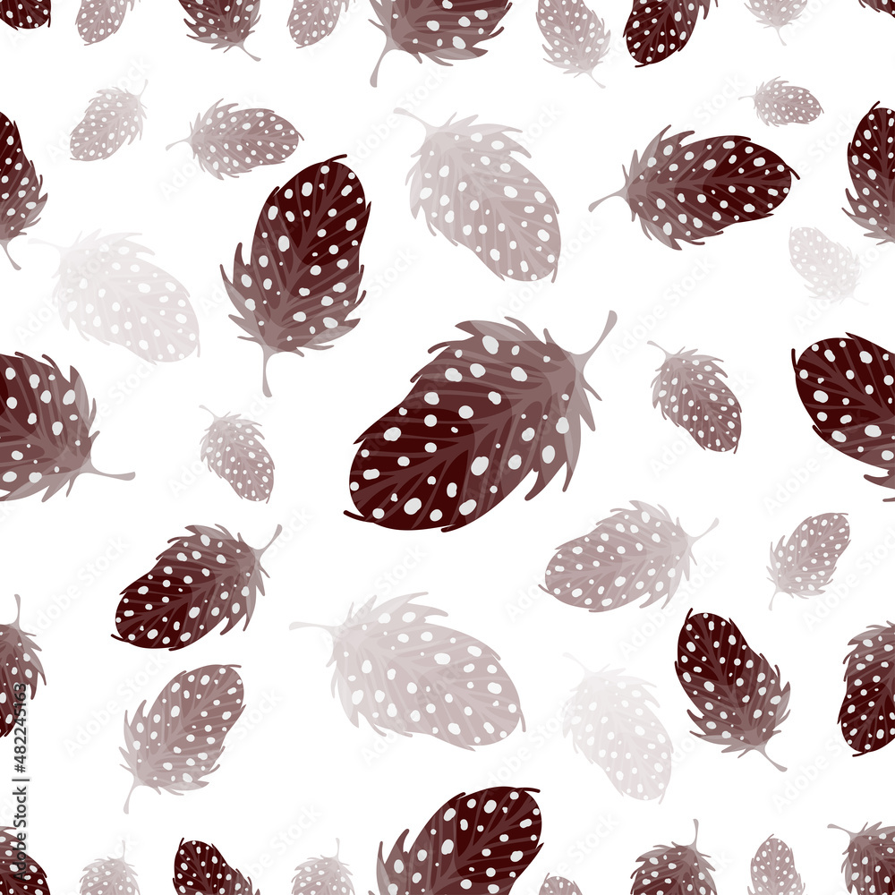 Seamless pattern with thrush bird feathers on a white background. Vector graphics. Seamless pattern with thrush bird feathers on a white background. Vector graphics.