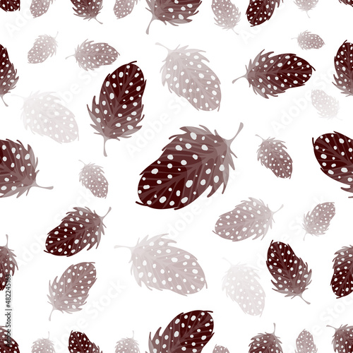 Seamless pattern with thrush bird feathers on a white background. Vector graphics.