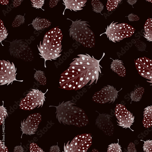 Seamless pattern with thrush bird feathers on a black background. Vector graphics.