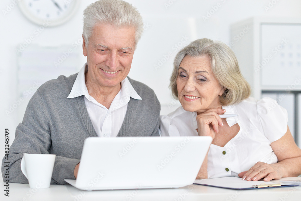 Portrait of senior people working with computer at home Portrait of senior people working with computer at home