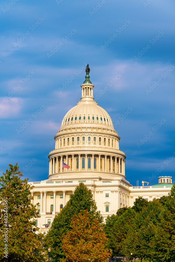 Naklejka premium The United States Capitol, often called the Capitol Building, is the home of the United States Congress and the seat of the legislative branch of the U.S. federal government. Washington, United States