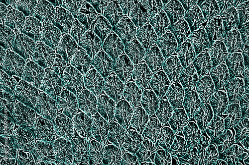 Abstract background from natural embossed surface in iridescent turquoise color with abstract whimsical pattern