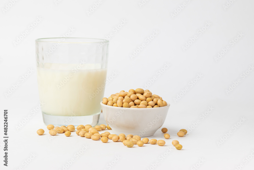 High protein product soybeans is popular ingredient for variant of vegetable milk. Dry, raw soybean, soy bean, or soya bean one of types asian legume in boul white background with copy space High protein product soybeans is popular ingredient for variant of vegetable milk. Dry, raw soybean, soy bean, or soya bean one of types asian legume in boul white background with copy space
