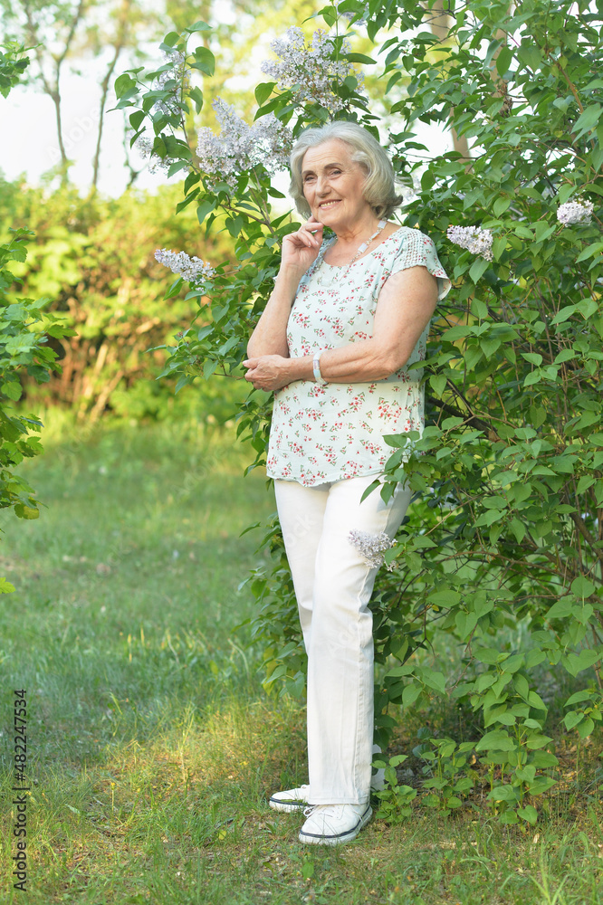 Portrait of happy senior beautiful woman on lilacs background Portrait of happy senior beautiful woman on lilacs background