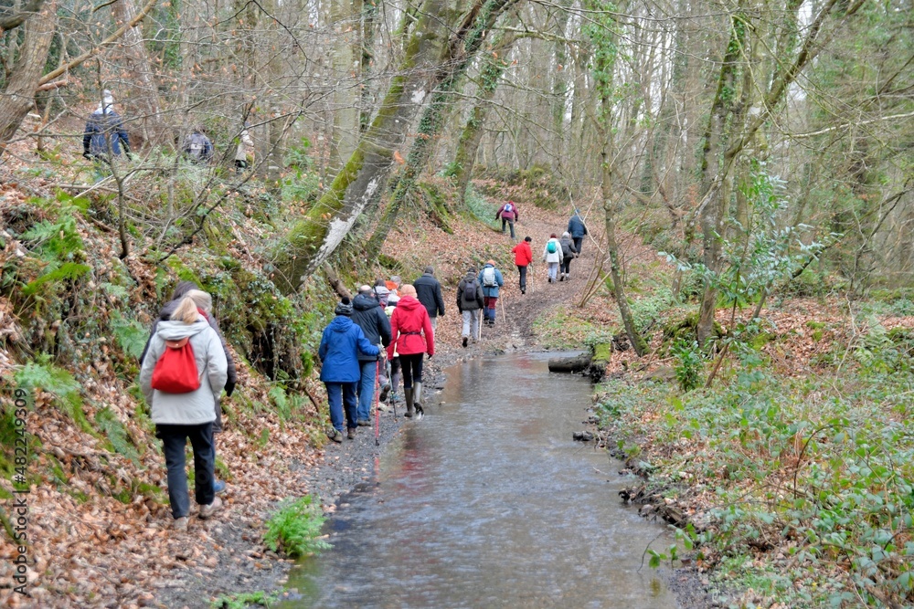 Senior hikers on a path in Brittany France Senior hikers on a path in Brittany France