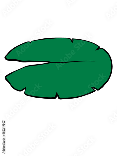 Seerose Blatt Design 