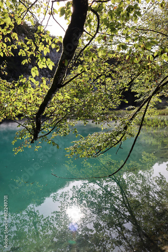 Fototapeta Naklejka Na Ścianę i Meble -  A tree branch with autumn foliage leans over a lake with turquoise water, Plitvice Lakes National Park, Croatia