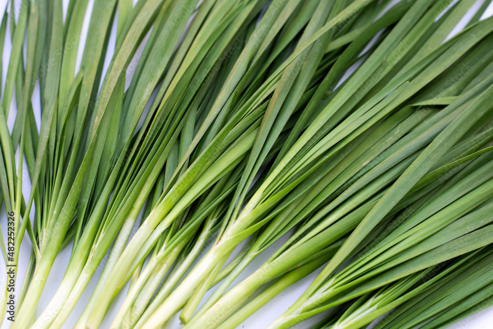 Fresh Chinese Chive leaves on white background. Fresh Chinese Chive leaves on white background.