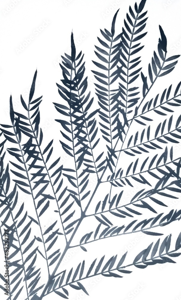 fern leaves background
