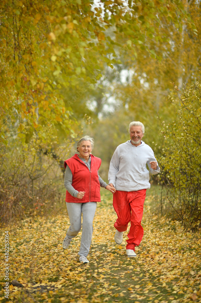 Fototapeta premium fit senior couple running in park