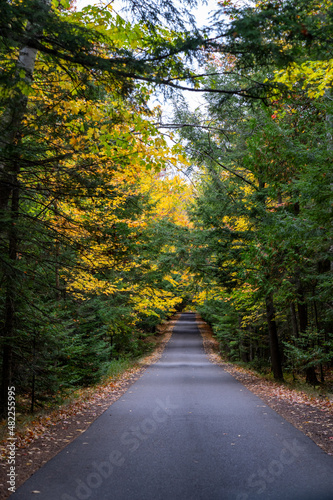 Fall foliage on the trees in Presque Isle Park road in Marquette, Michigan