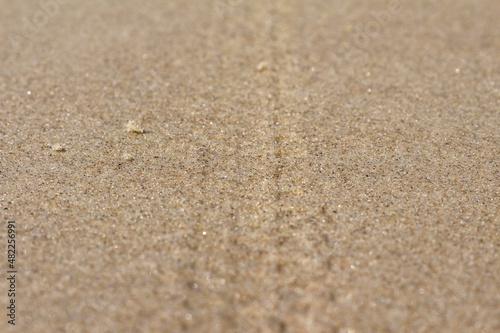 Marcas de pneu na areia da praia, areia com marcas de pneu, marcas de pneu na areia