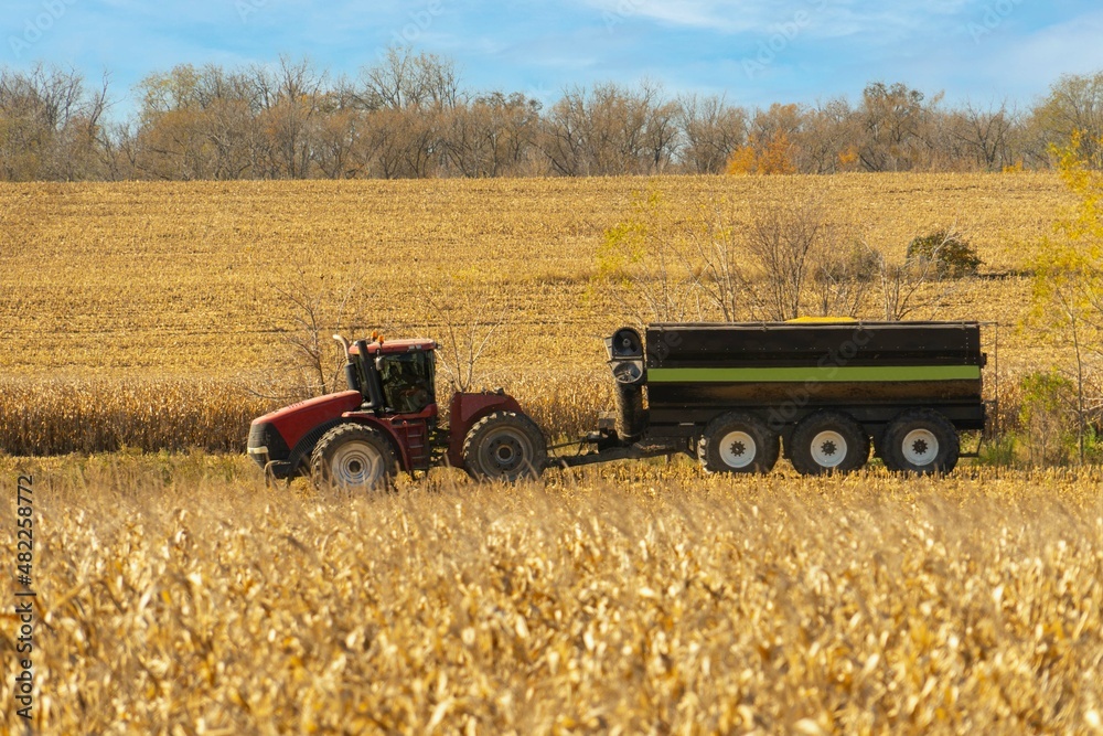 Obraz premium Farmer with tractor harvesting corn