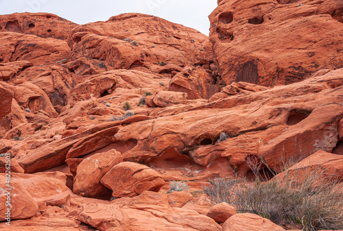 Overton, Nevada, USA - February 24, 2010: Valley of Fire. Landscape filled with slanted flanks of potholed and cracked red rocks whereon small dry weed bushes grow under gray sky.