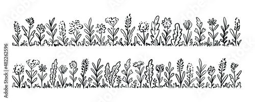 Wild meadow grasses, wildflowers sketch. Herbal plants simple drawing in black outline. Vector illustration