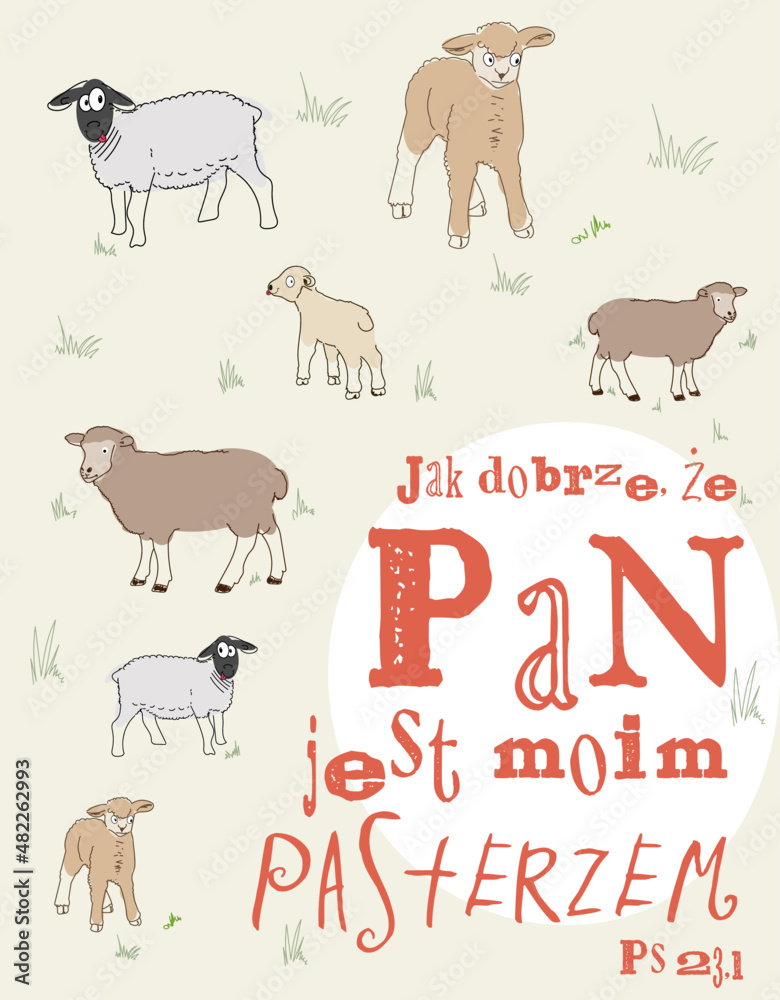 Owce Pan mym pasterzem Ps 23 - obrazy, fototapety, plakaty 