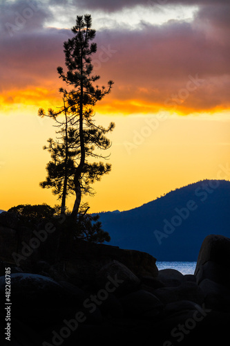 Pine Tree Sunset Silhouette with Mountains and Lake in Background