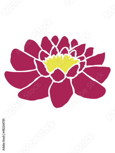 Blüte Design Seerose 