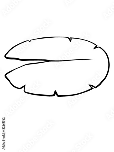 Blatt Seerose Design 