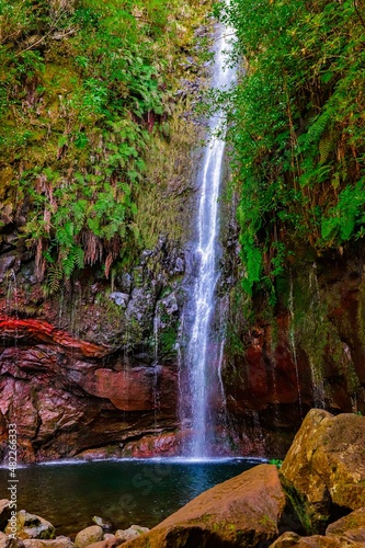 waterfall in the forest