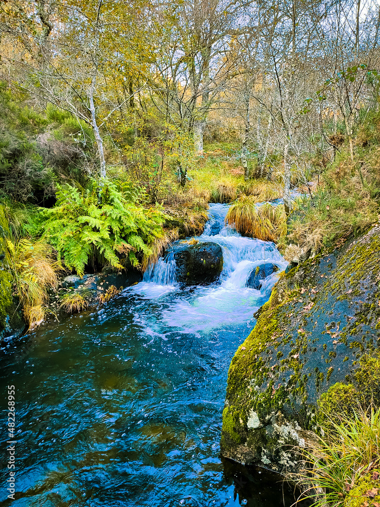 waterfall in the forest