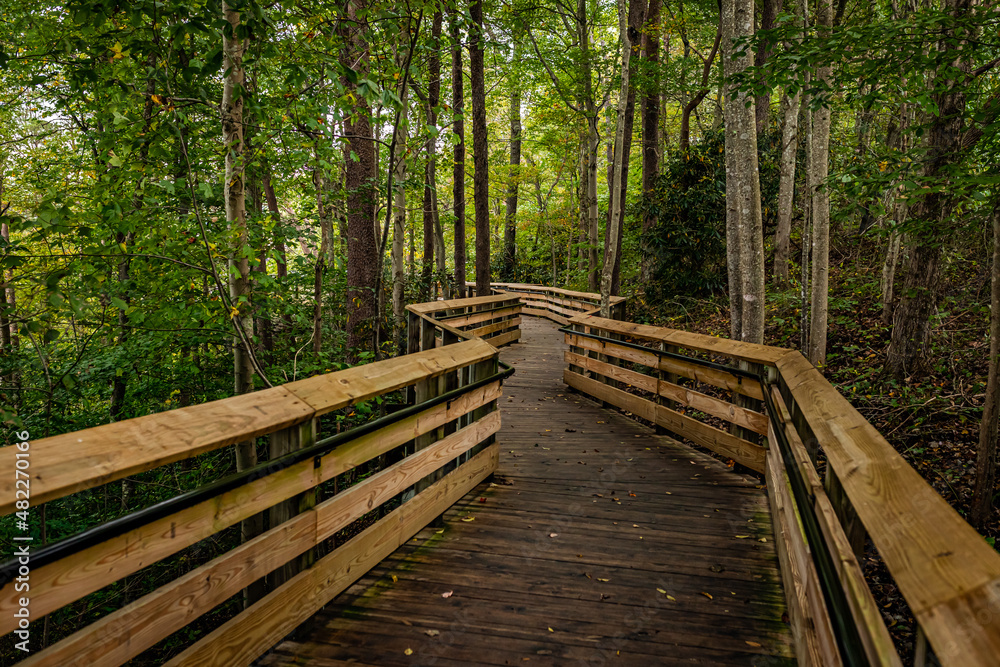 Boardwalk Nature Trail New River Gorge West Virginia