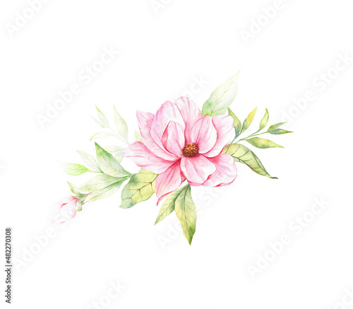 Magnolia Flower Watercolor Illustration, Magnolia Bouquet, Pink Magnolia Branch, Watercolor Floral Illustration isolated on white