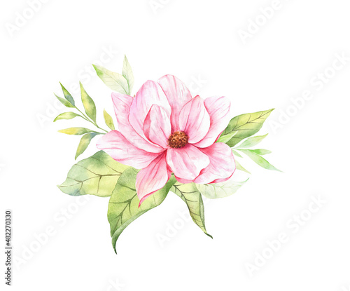Magnolia Flower Watercolor Illustration, Magnolia Bouquet, Pink Magnolia Branch, Watercolor Floral Illustration isolated on white © Xenia