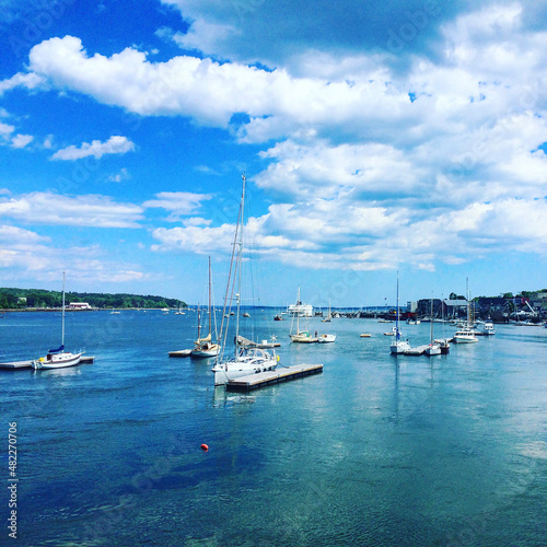 boats in a maine harbor