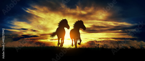 Fototapeta Naklejka Na Ścianę i Meble -  two free horses run at sunset