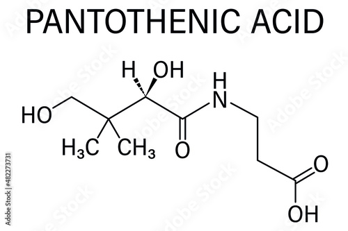 Vitamin B5 or pantothenic acid, pantothenate, molecule. Skeletal formula.