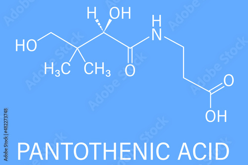 Vitamin B5 or pantothenic acid, pantothenate, molecule. Skeletal formula.