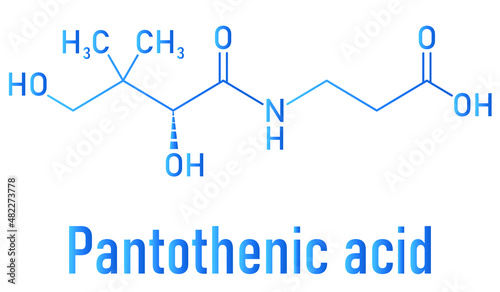 Vitamin B5 or pantothenic acid, pantothenate, molecule. Skeletal formula. photo