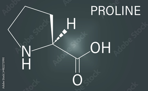 Proline or l-proline, Pro, amino acid molecule. Skeletal formula. photo