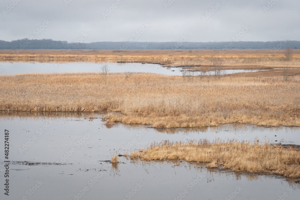 A flooded region, tidal swamp wetland of coastal shore, land not used for agriculture due to flooding and climate, Native American territory prior to colonial era, now protected environment reserve