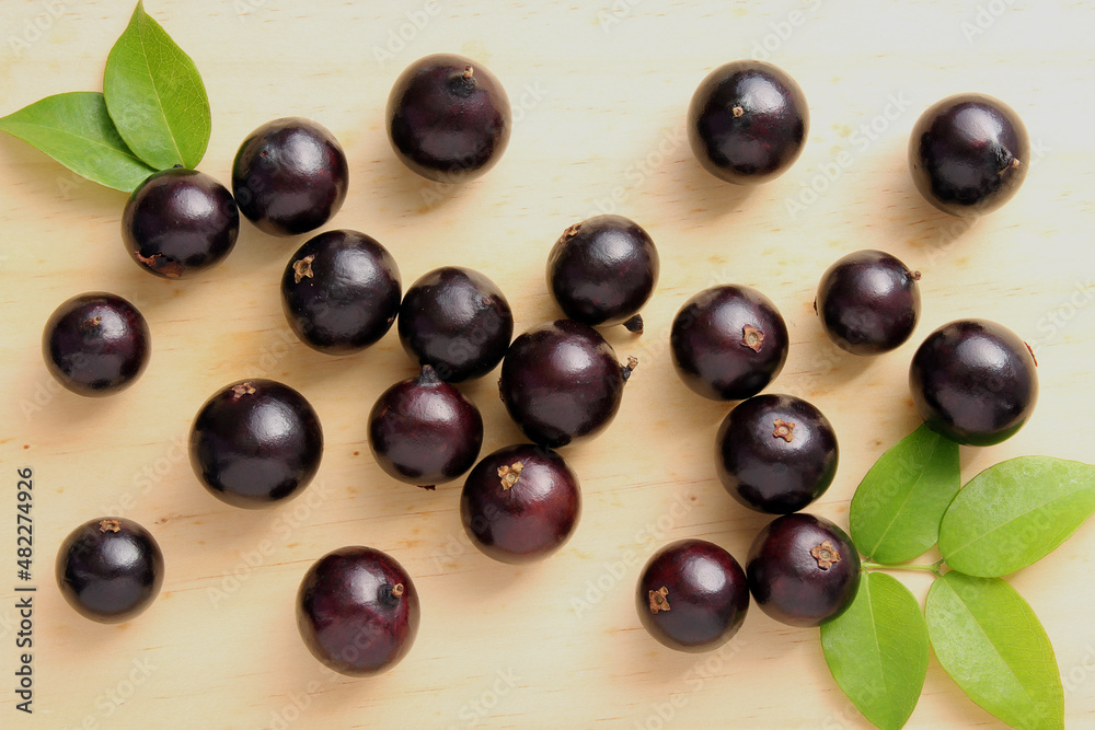 Jaboticaba, exotic fruit typical of Brazil. Jaboticaba, exotic fruit typical of Brazil.