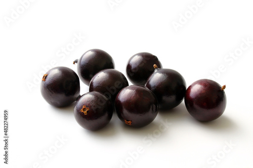 Exotic Jabuticaba fruit isolated on white background