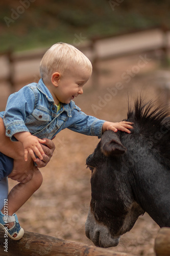 little boy petting a donkey in the zoo.