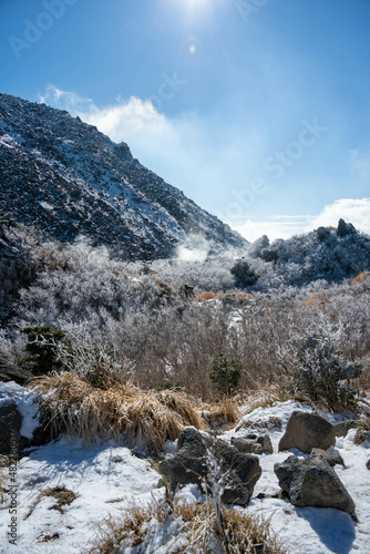 仁田峠の霧氷