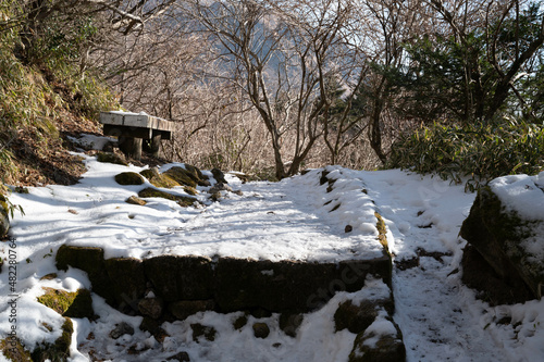 仁田峠の霧氷