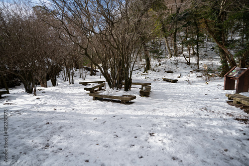 仁田峠の霧氷