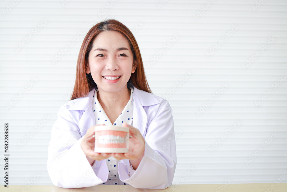 Asian female dentist Sitting in the office, she holds a denture mockup to demonstrate how to keep her teeth clean. concept of medical services in a hospital. Asian female dentist Sitting in the office, she holds a denture mockup to demonstrate how to keep her teeth clean. concept of medical services in a hospital.