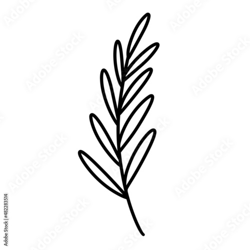 Twig with leaves vector icon. Hand drawn illustration isolated on white background. Branch outline with oval foliage, simple botanical sketch. Natural plant clipart for decoration, postcard design