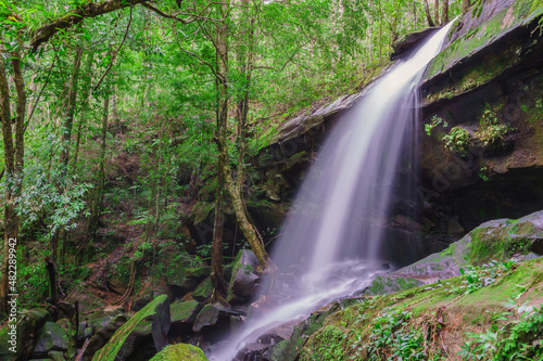 Fototapeta Naklejka Na Ścianę i Meble -  Waterfall at Phu Kradueng national park, Loei Thailand, beautiful landscape of waterfalls in rainforest