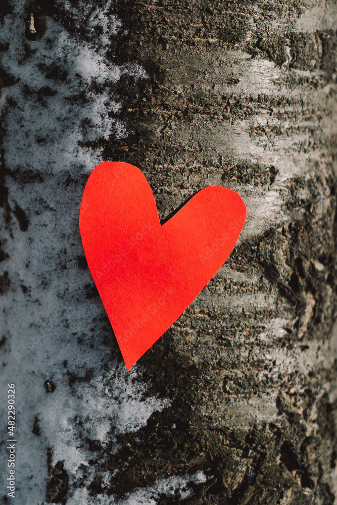 Red heart hanging on snowy tree for Valentine's day Love message. I love You. Happy valentines day. Valentines day card Red heart hanging on snowy tree for Valentine's day Love message. I love You. Happy valentines day. Valentines day card