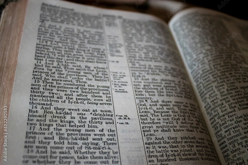 Obraz premium Reading the Good Book