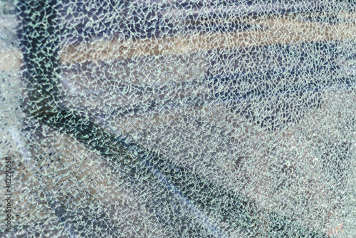Canvas Print Close-up, texture, broken tempered glass background.