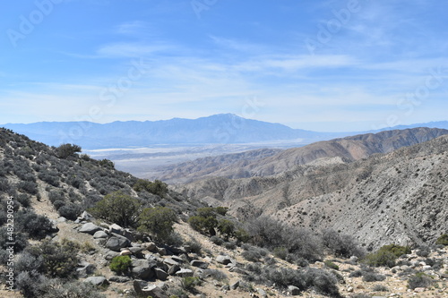 Palm Springs landscape outside of Joshua tree national park
